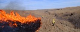 Graduate Student Anne Schechner and other participating in a controlled burn at the Konza Prairie Biological Research Station.