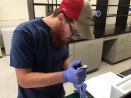 Graduate student Ryan Greenway uses a pipette to combine chemical ingredients with dissolved fish gill tissue to isolate RNA for sequencing.